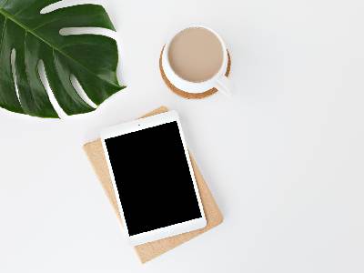 Portfolio-title
